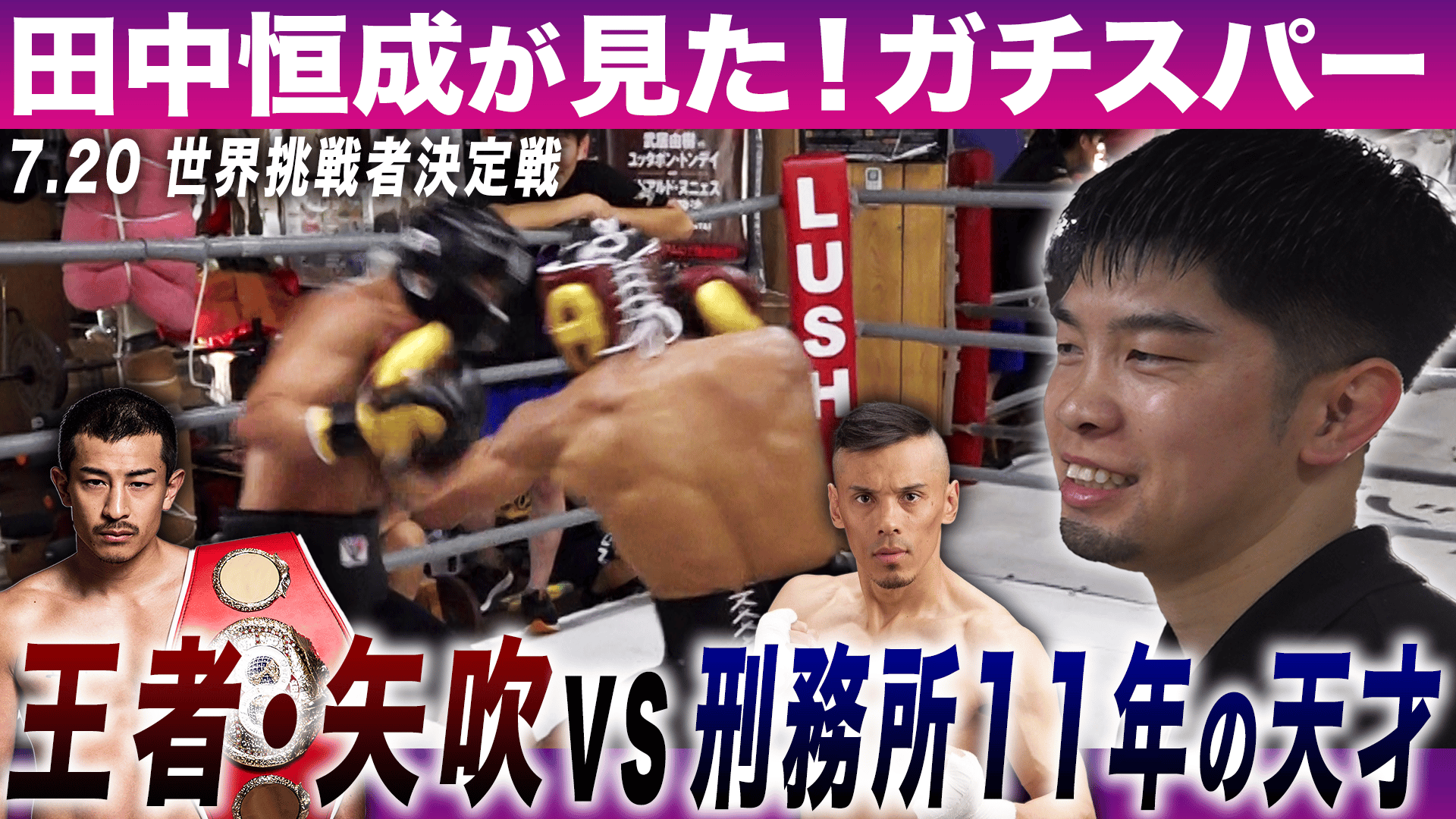 剛毅の誉 中盤の手筋 防御編 Amazon | 剛毅の誉 中盤の手筋 防御編 | PCゲーム | PCソフト