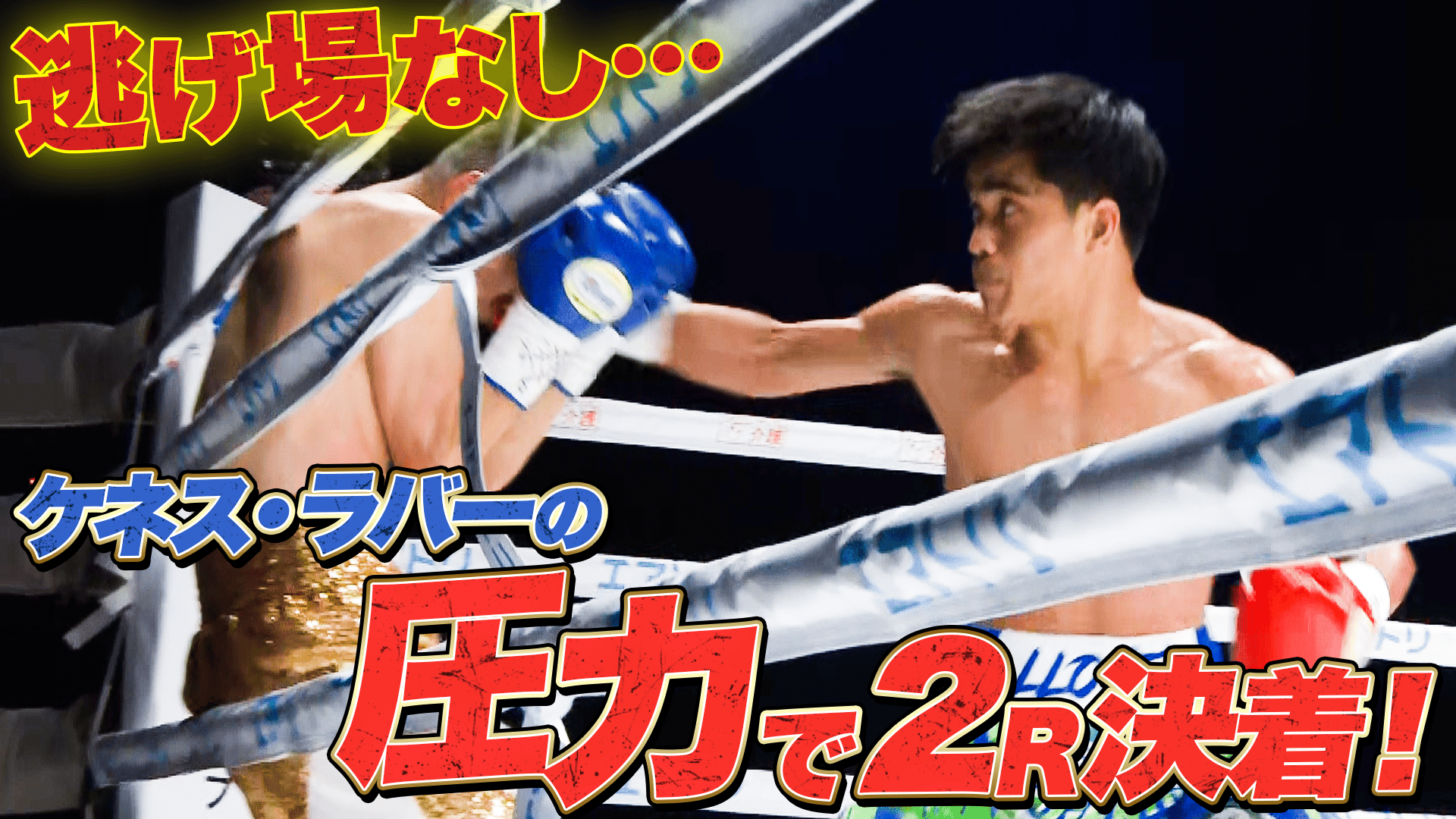 亀吉 亀吉【特別純米辛口】720ml [常温・冷蔵] | 津軽弘前市場 ハマダ海産