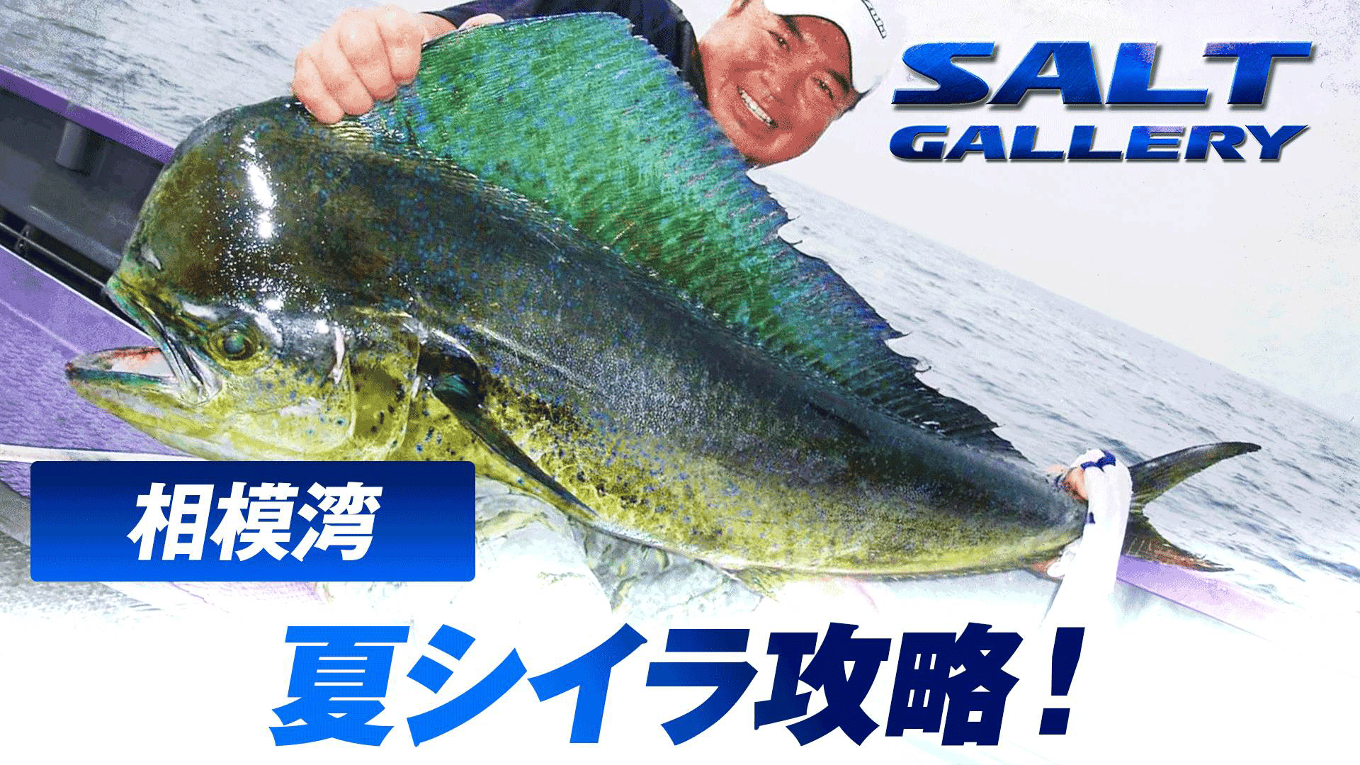 ソルトギャラリー - シーズン1 - 上屋敷隆 「夏本番 相模湾のシイラ