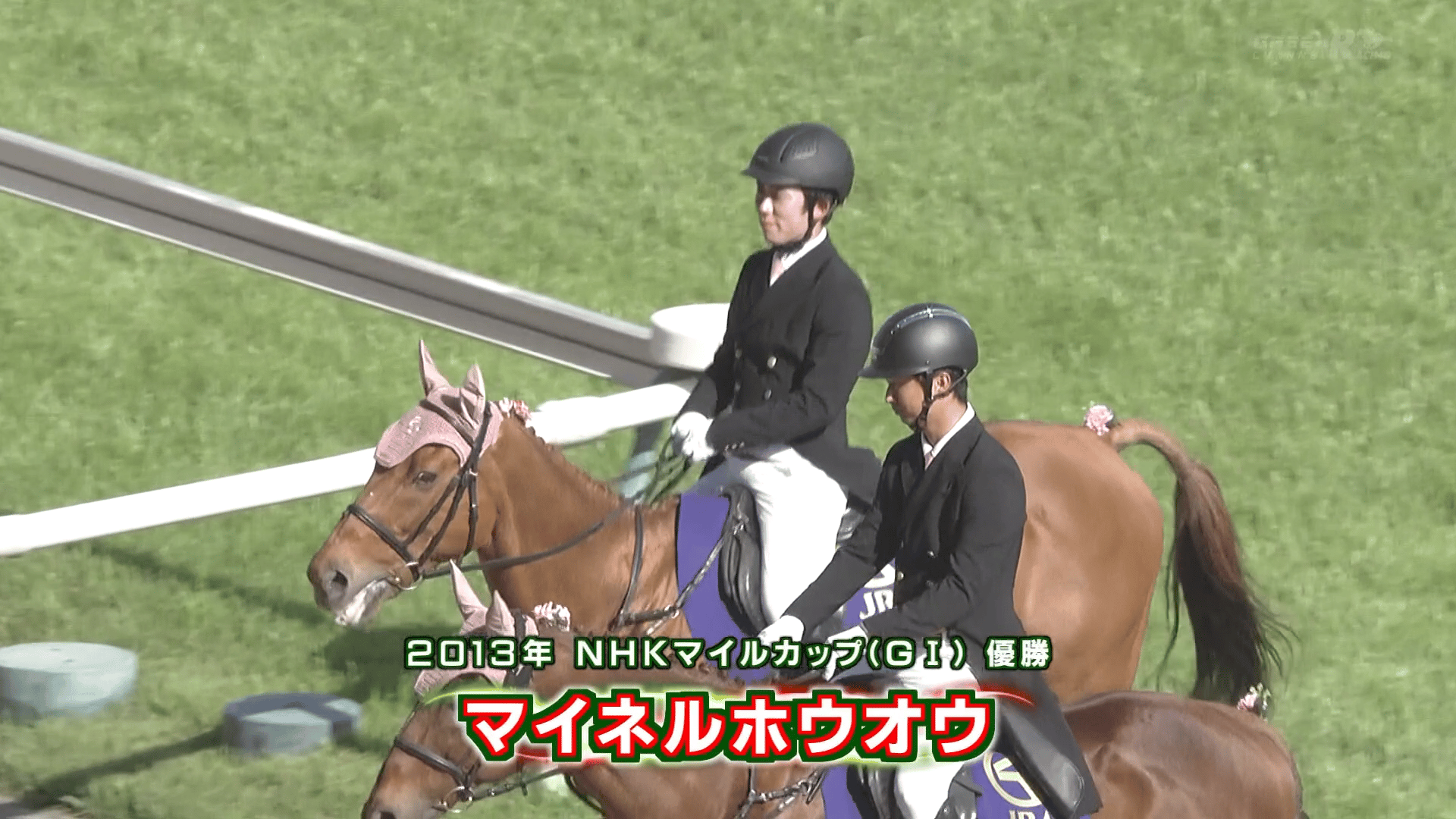 5.10 G1 NHKマイルC 2013年王者・マイネルホウオウが誘導馬として登場