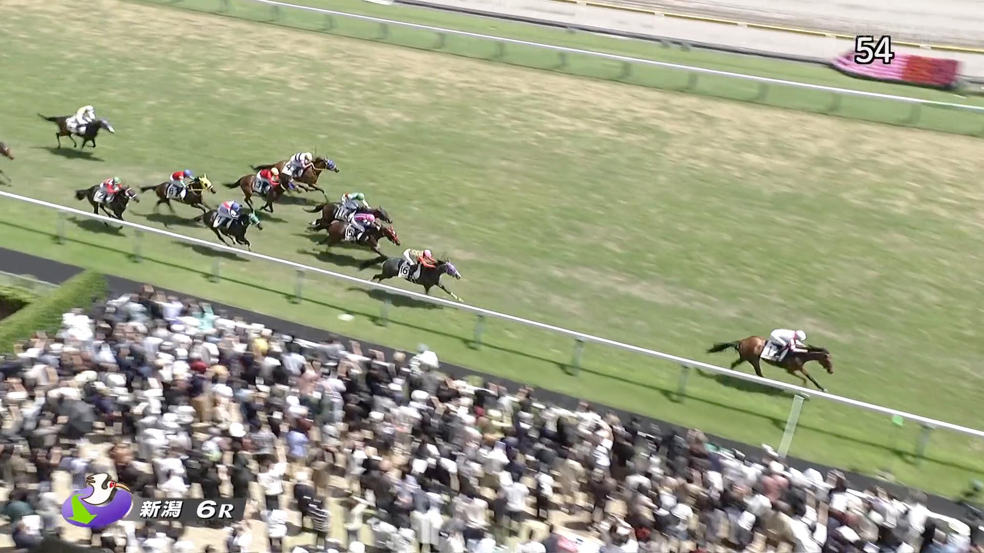 5.16 新潟6R 3歳未勝利 10番人気・アカウフリューゲル圧勝！外ラチ