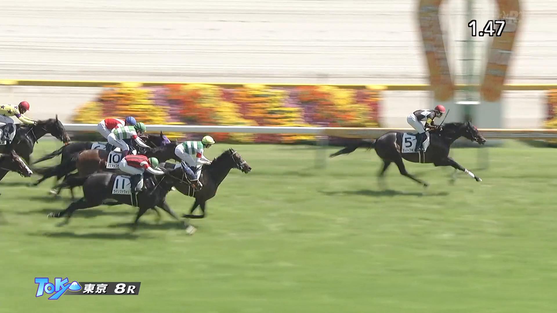 【期限切れ単勝馬券】　新馬競走 ディープインパクト 期限切れ単勝馬券】 新馬競走 ディープインパクト - メルカリ