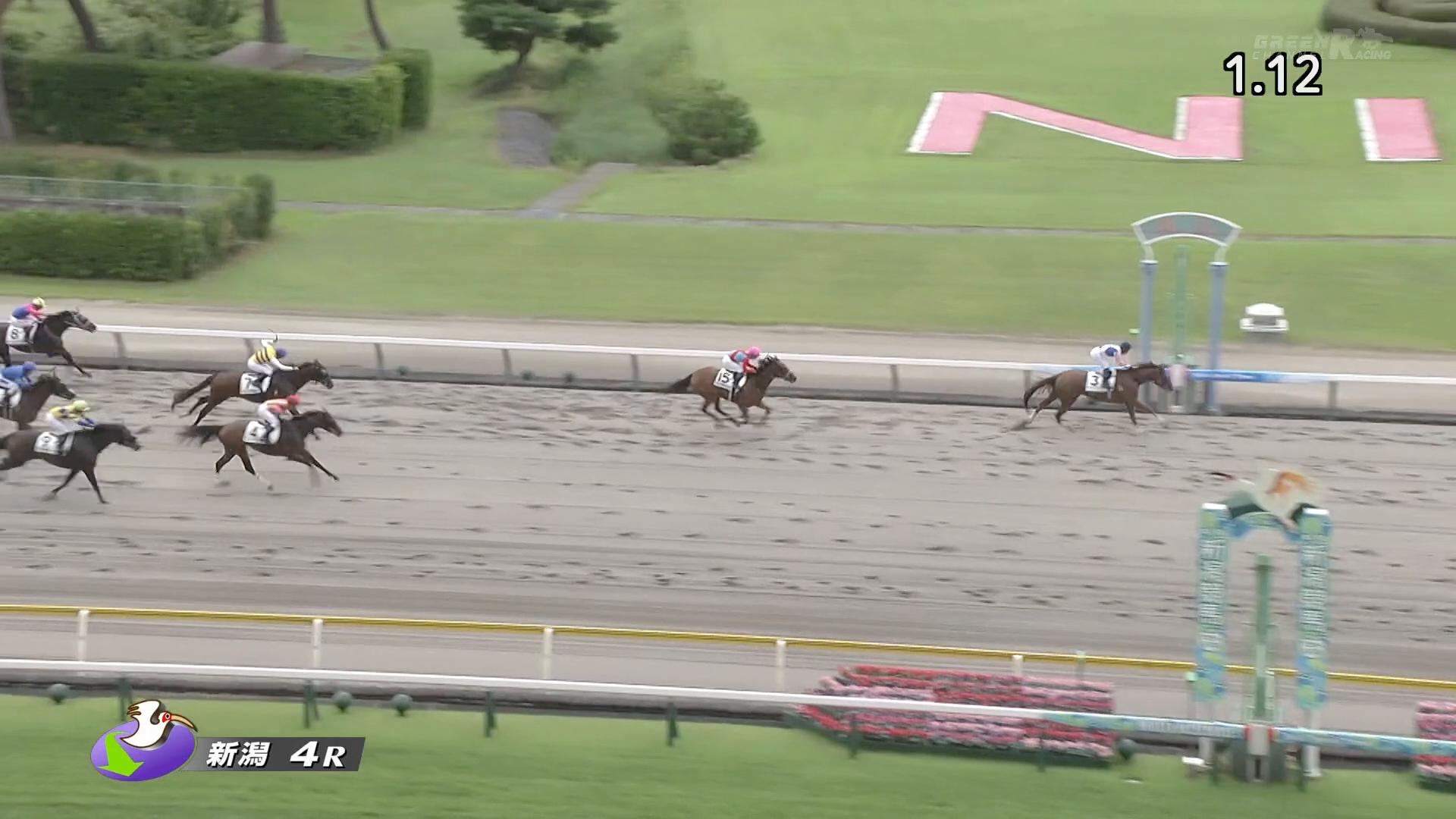7.25 新潟4R 3歳未勝利 珍名馬