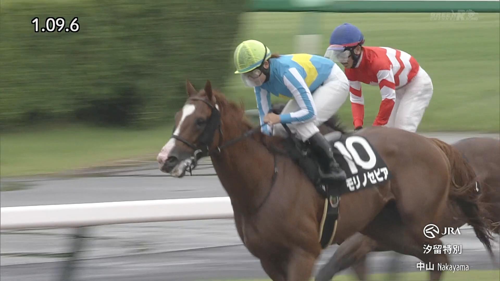 9.20 中山10R 汐留特別 21歳の女性騎手・小林美駒＆モリノセピア、1，2