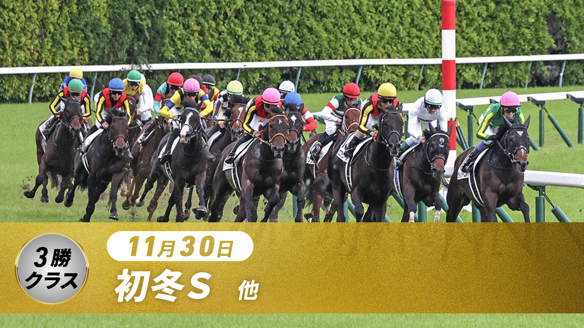 11 月 30 日競馬