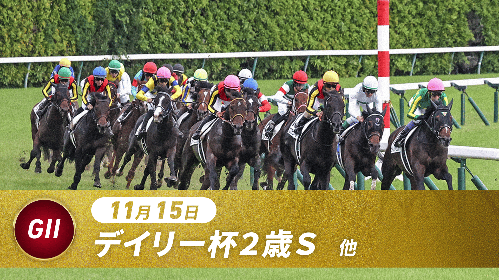 11.15 中央競馬全レース中継 | 新しい未来のテレビ | ABEMA