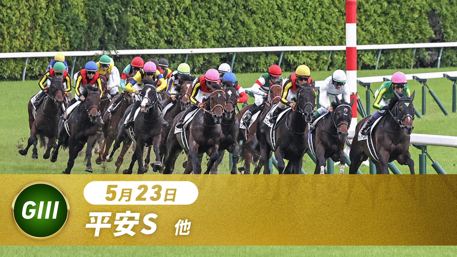 5.23 中央競馬全レース中継 | 新しい未来のテレビ | ABEMA