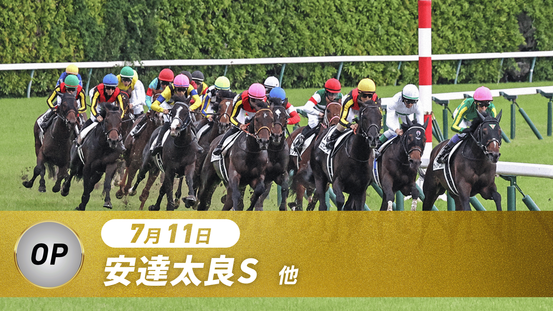 7.11 中央競馬全レース中継 | 新しい未来のテレビ | ABEMA