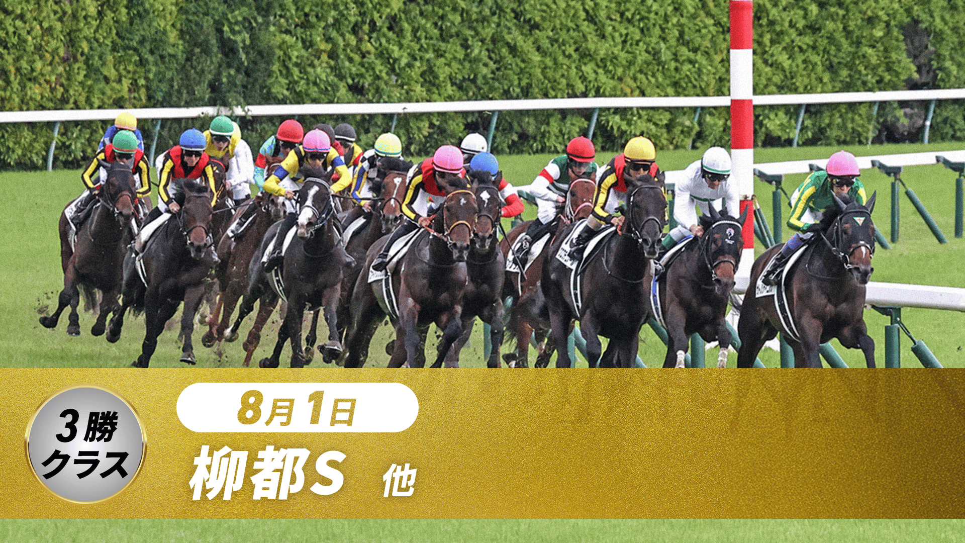 8.1 中央競馬全レース中継 | 新しい未来のテレビ | ABEMA