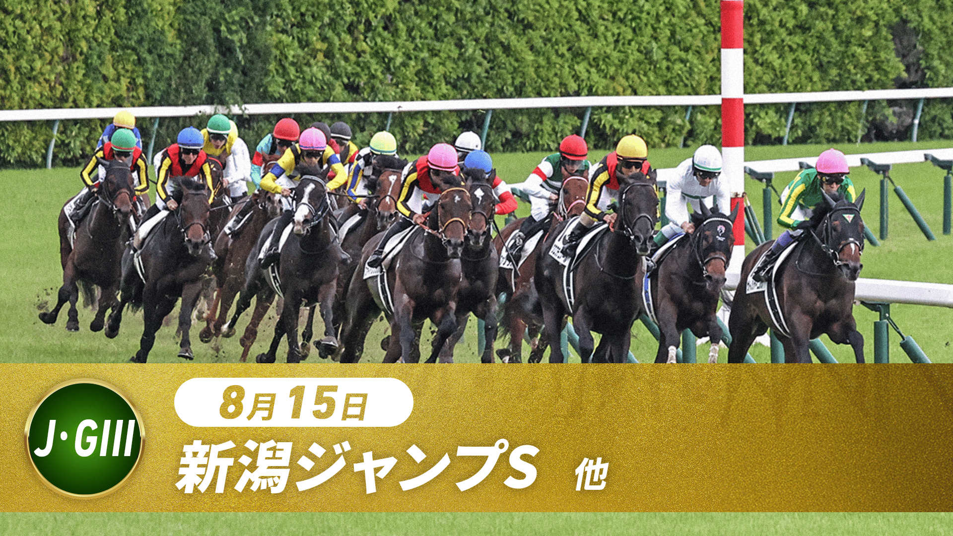 8.15 中央競馬全レース中継 | 新しい未来のテレビ | ABEMA