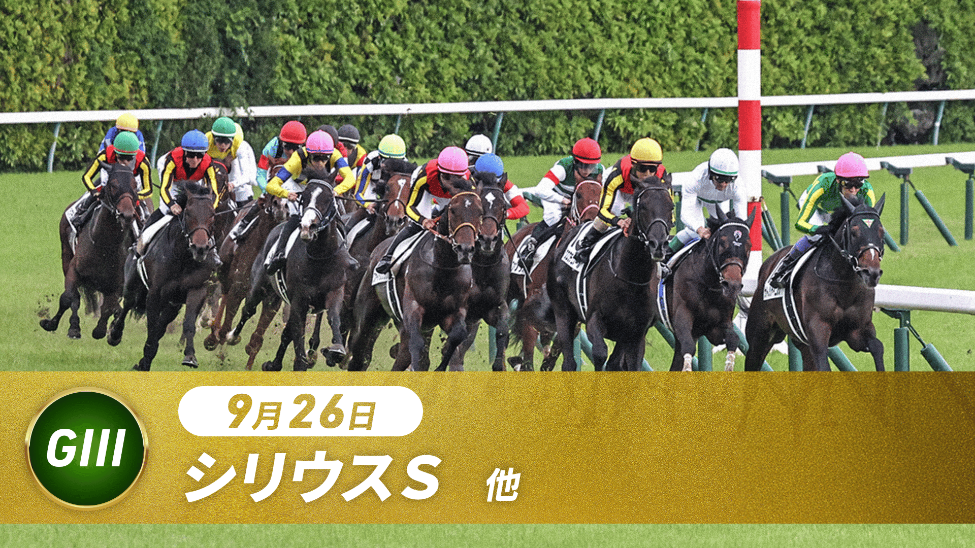 中央競馬レースマニュアル 9.5 中山競馬チャンネル | 新しい未来のテレビ | ABEMA