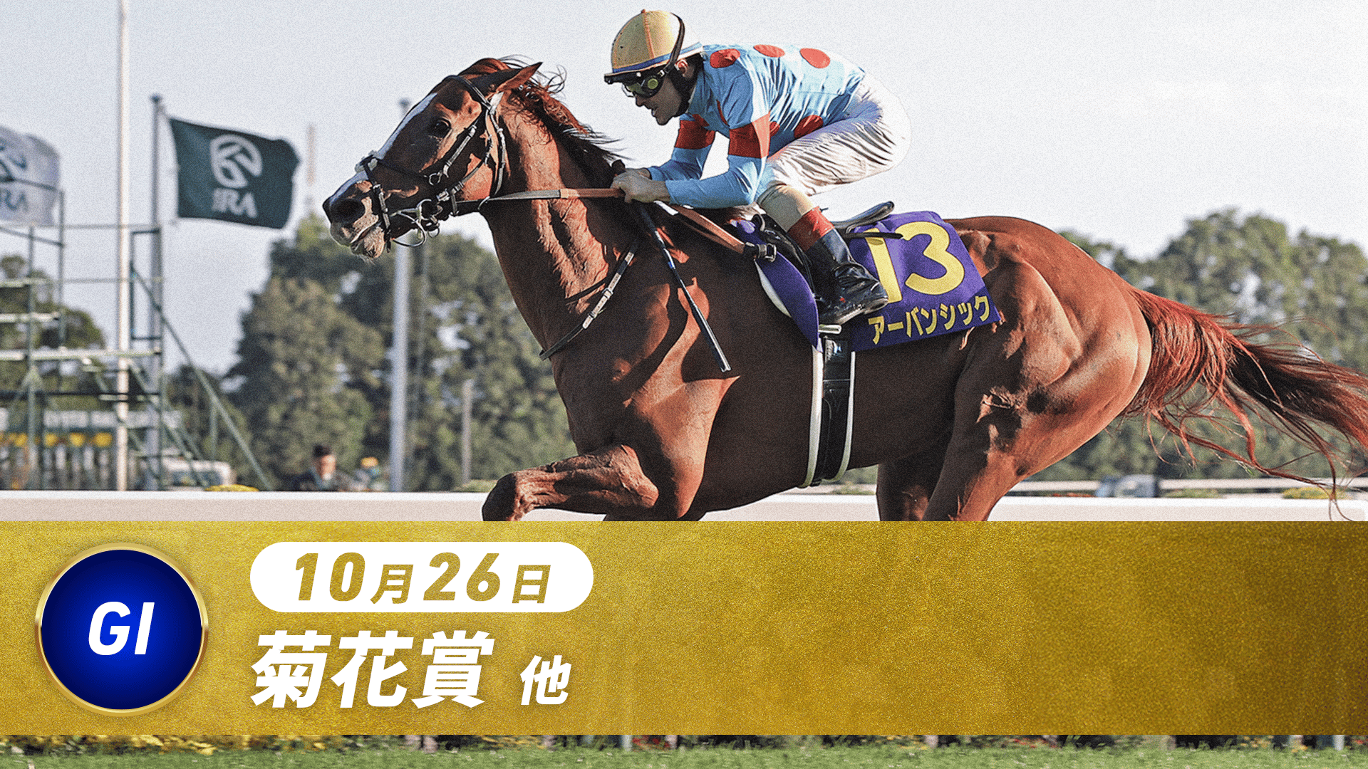 中央競馬G1レース2015、2016総集編 2015 G1総集編-1 - YouTube