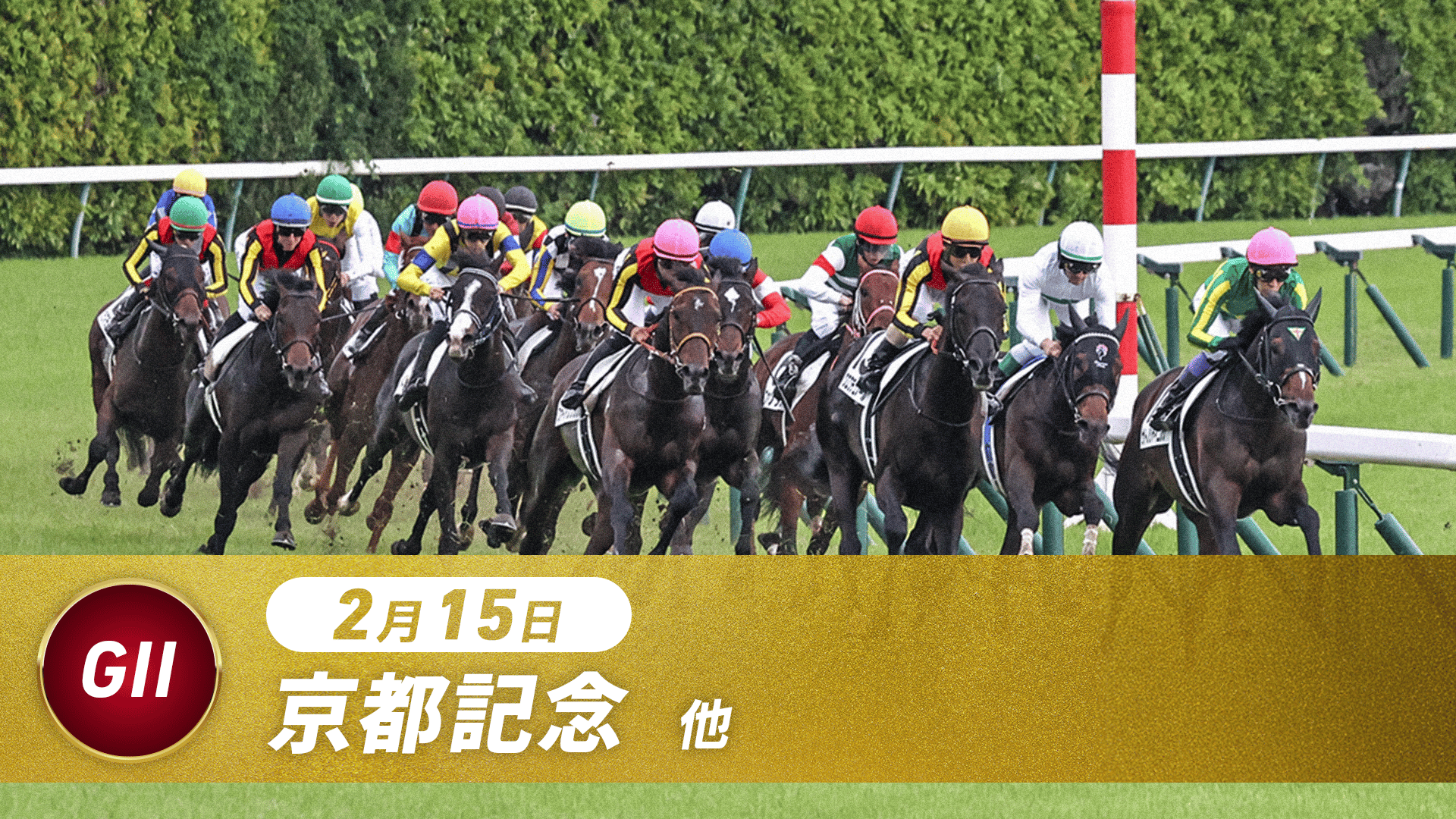 2.15 中央競馬全レース中継 | 新しい未来のテレビ | ABEMA