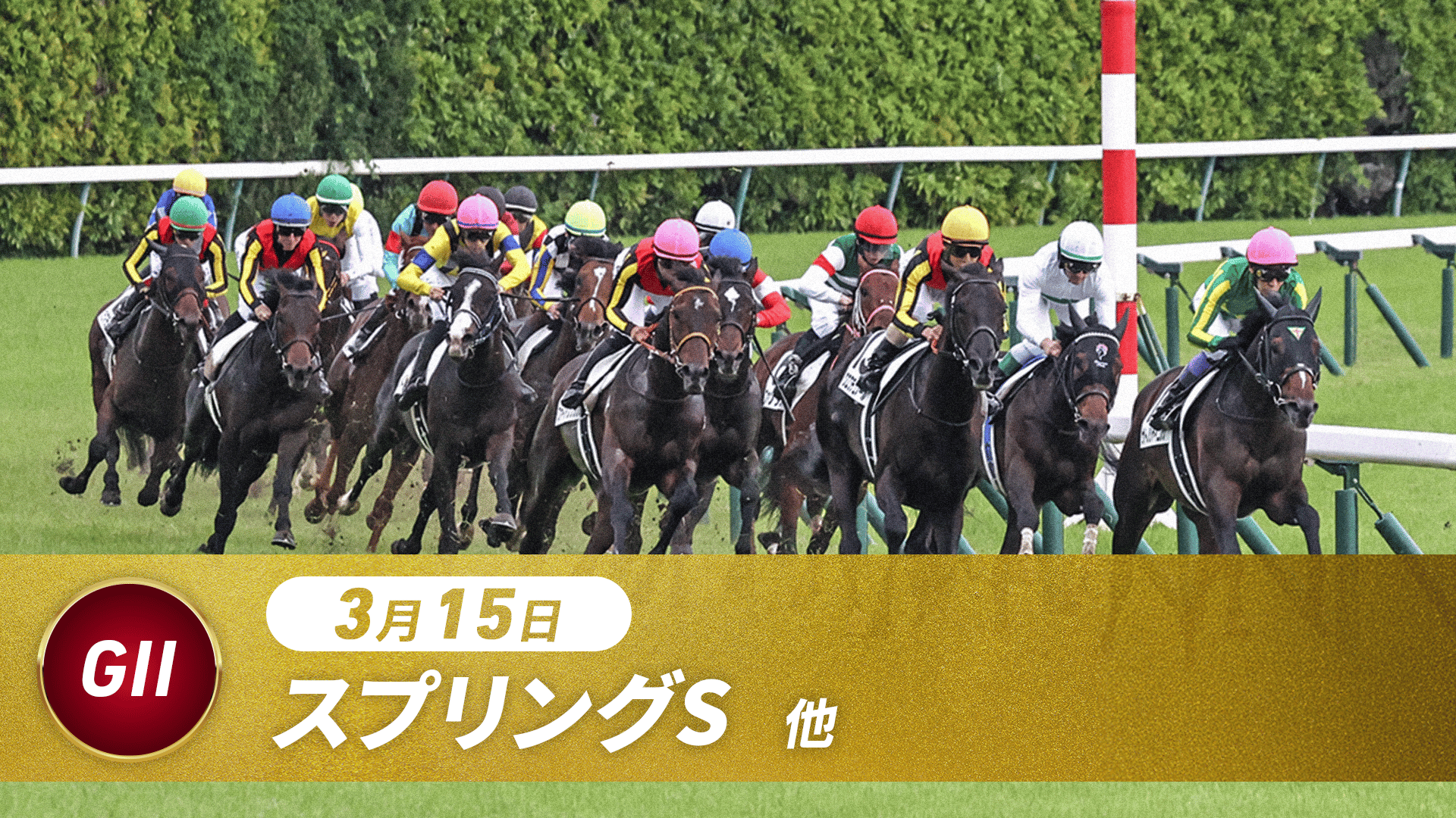 3.15 中央競馬全レース中継 | 新しい未来のテレビ | ABEMA