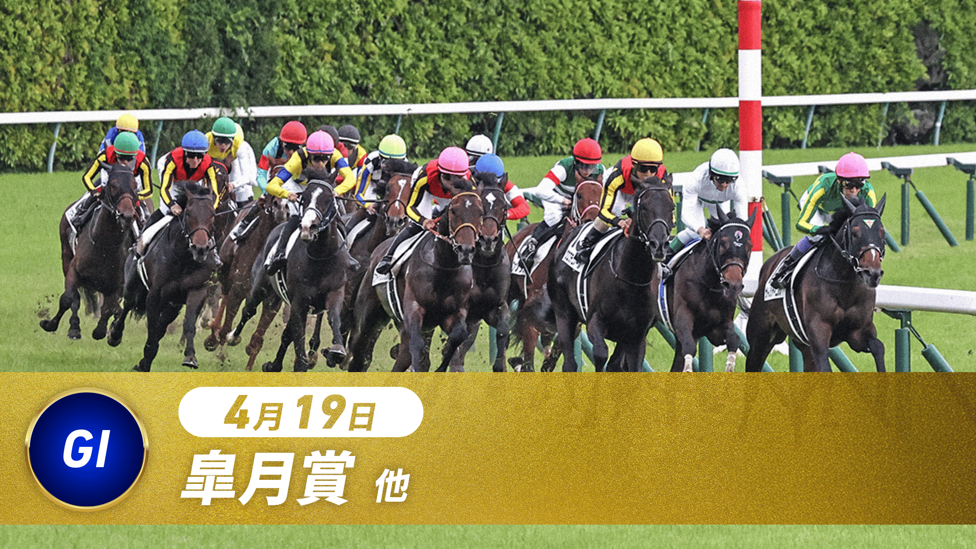 4.19 中央競馬全レース中継 | 新しい未来のテレビ | ABEMA