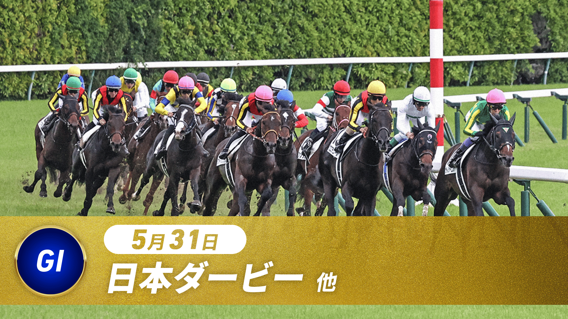5.31 中央競馬全レース中継 | 新しい未来のテレビ | ABEMA