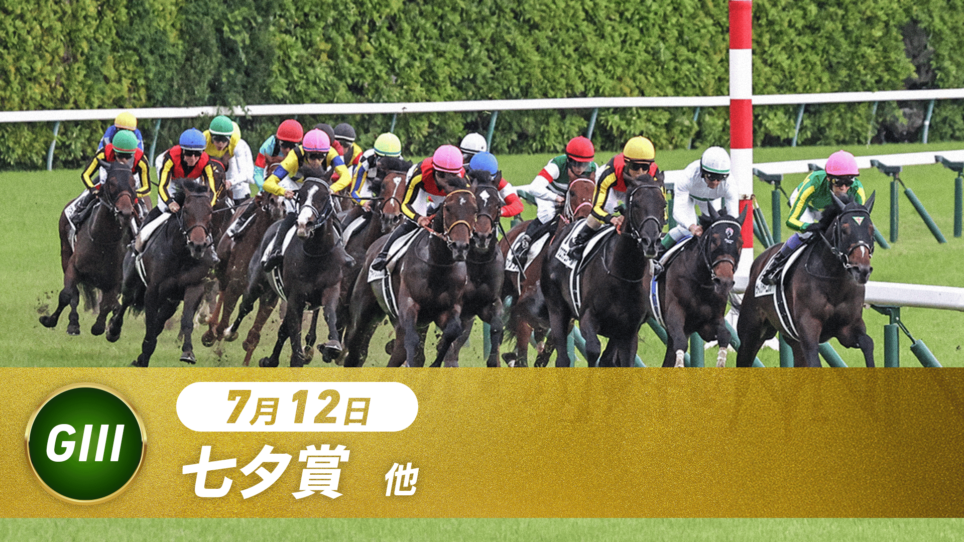 中央競馬全レース中継 (スポーツ) | 無料動画・見逃し配信を見るなら