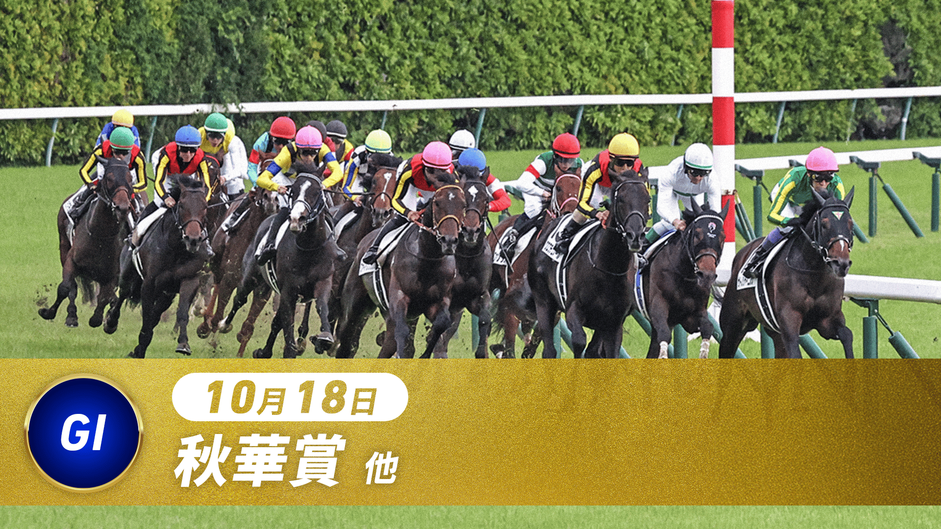 10.18 中央競馬全レース中継 | 新しい未来のテレビ | ABEMA