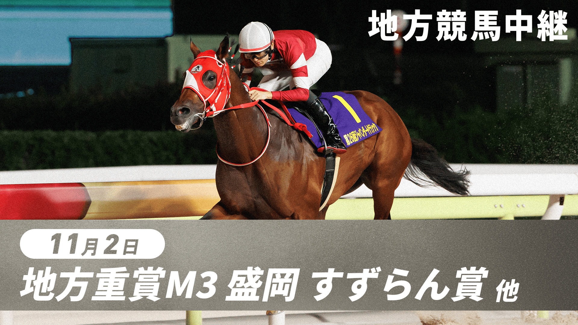 11.2 GC地方競馬中継(すずらん賞・盛岡、土佐秋月賞・高知、九州大賞典