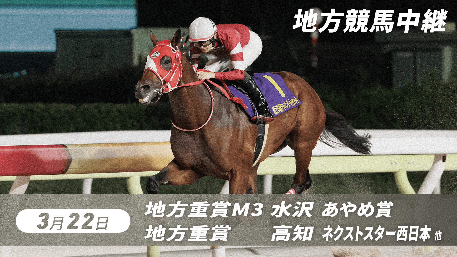 3.22 GC地方競馬中継(あやめ賞・水沢、ネクストスター西日本・高知