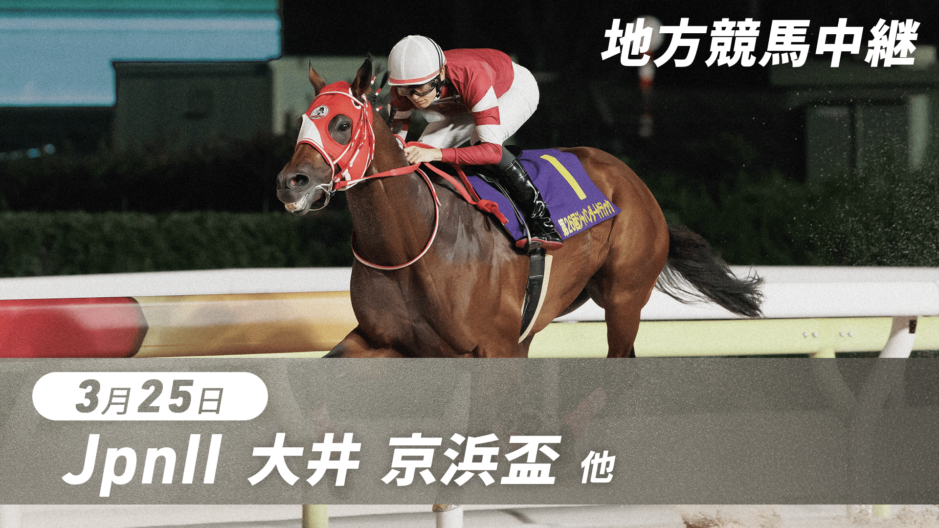 地方競馬　大井競馬のあゆみ 地方競馬 大井競馬のあゆみ 【公式通販】