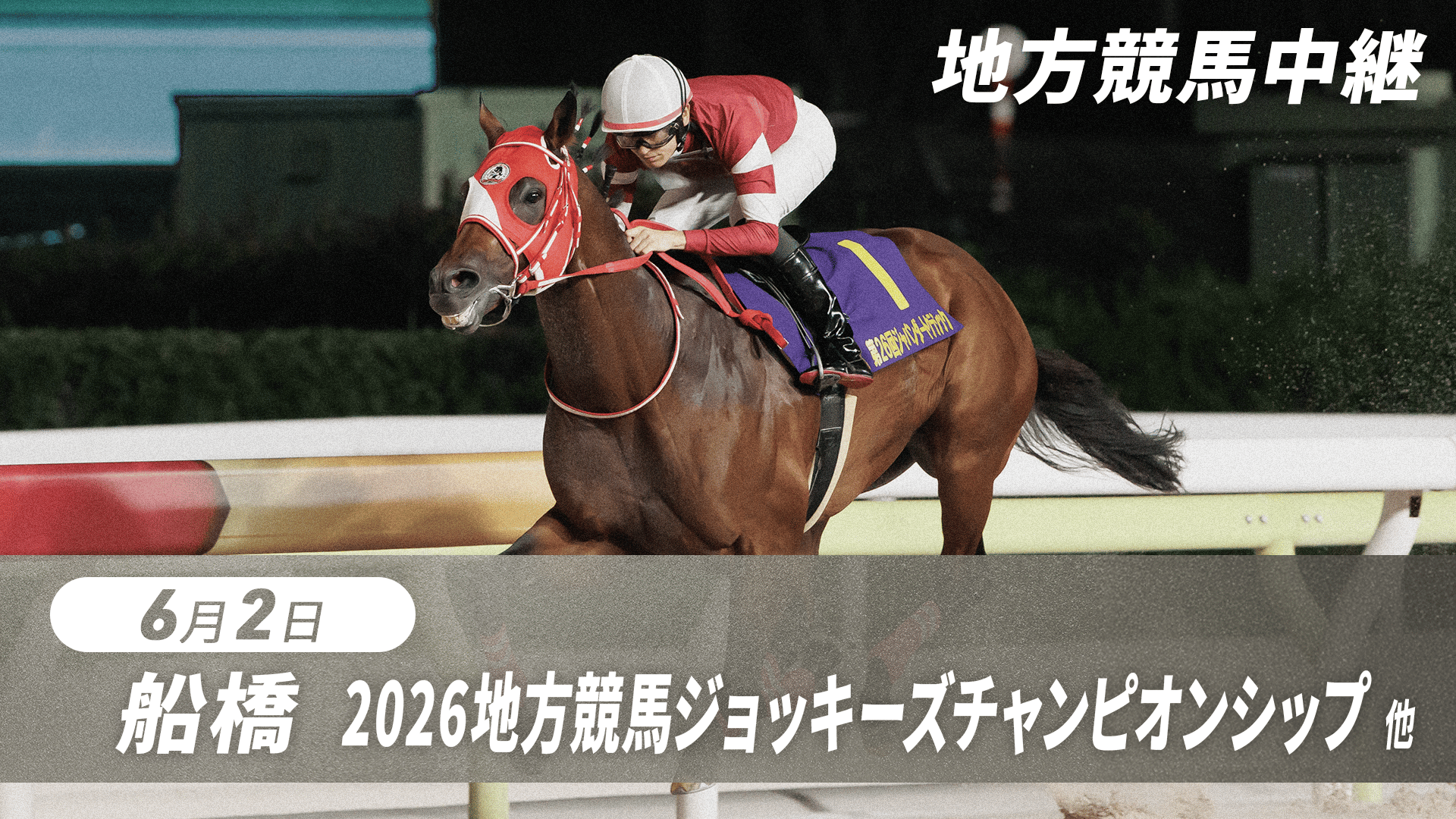 3.25 グリーンチャンネル地方競馬中継(京浜盃・大井) | 新しい未来の