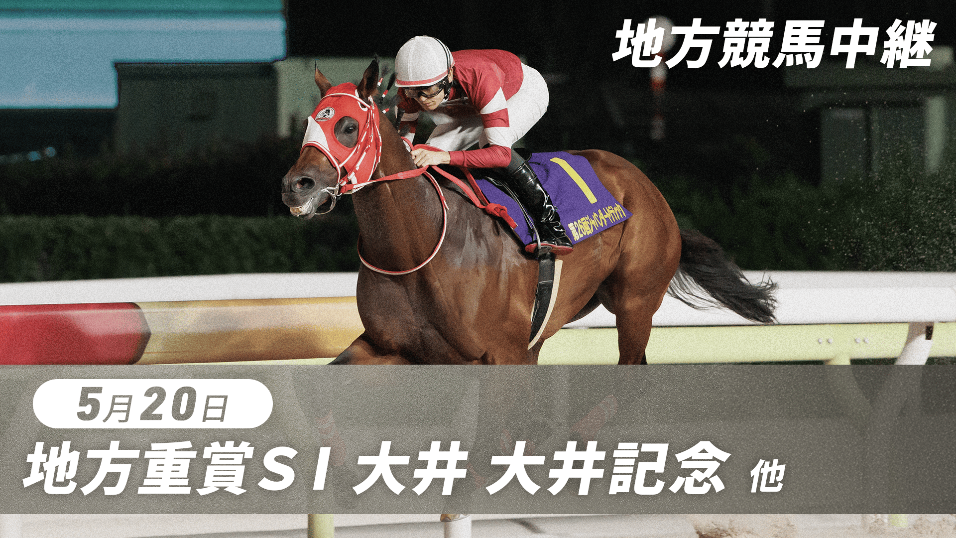 地方競馬　大井競馬のあゆみ 5.20 グリーンチャンネル地方競馬中継(大井記念・大井) | 新しい未来の