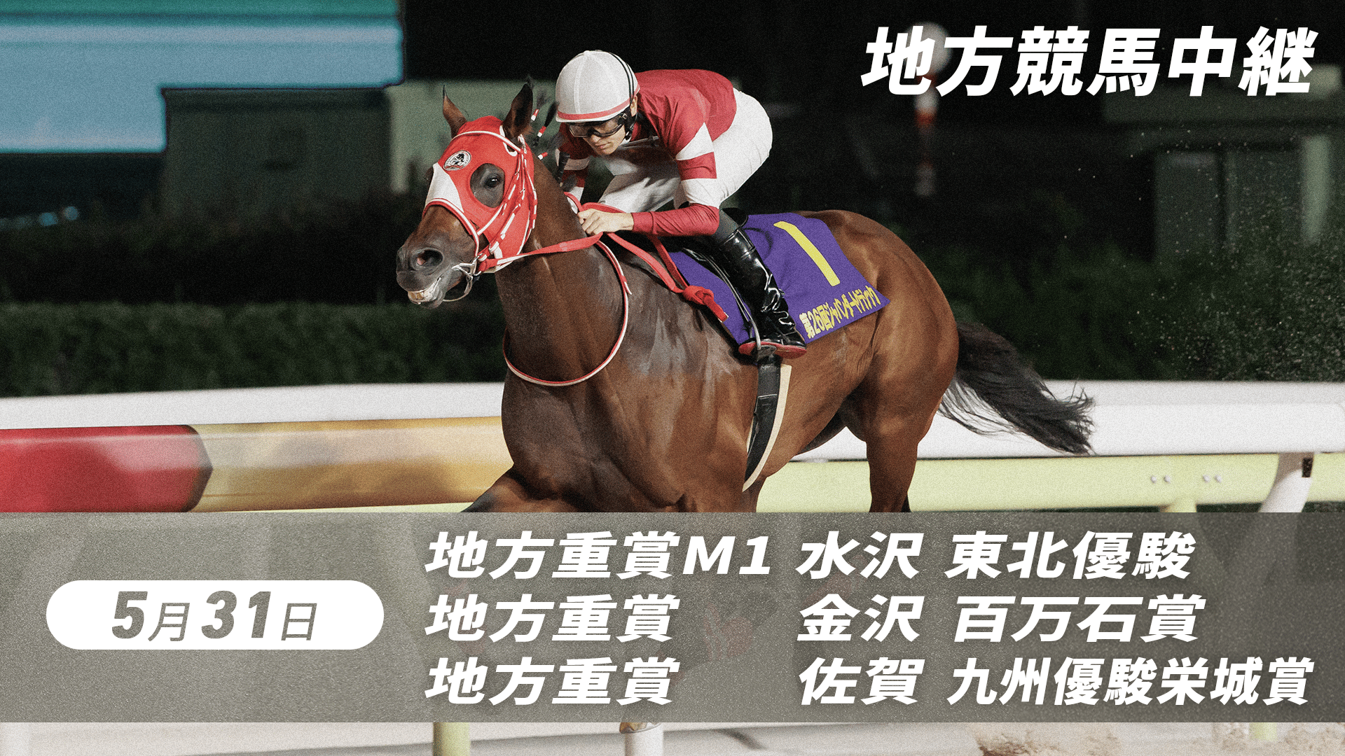 地方競馬　大井競馬のあゆみ 3.25 グリーンチャンネル地方競馬中継(京浜盃・大井) | 新しい未来の