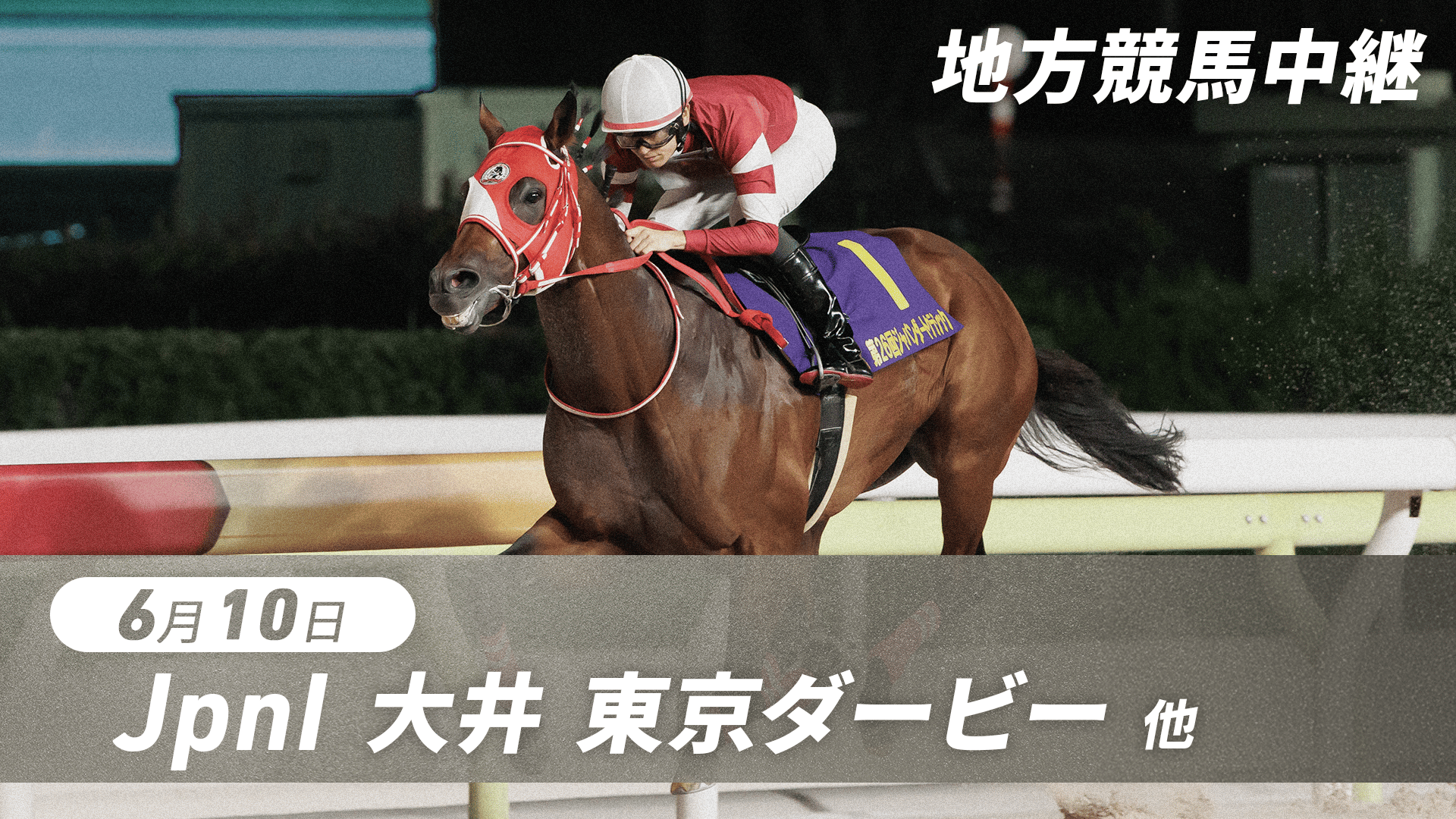 6.10 グリーンチャンネル地方競馬中継(東京ダービー・大井) | 新しい