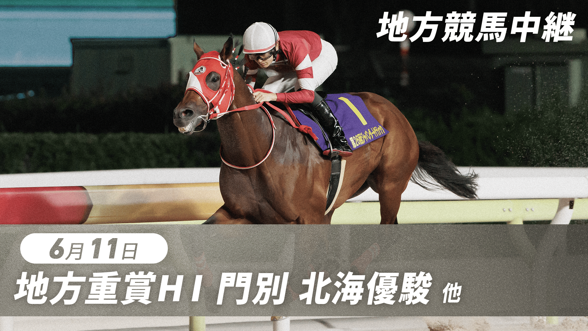 地方競馬　大井競馬のあゆみ 5.20 グリーンチャンネル地方競馬中継(大井記念・大井) | 新しい未来の