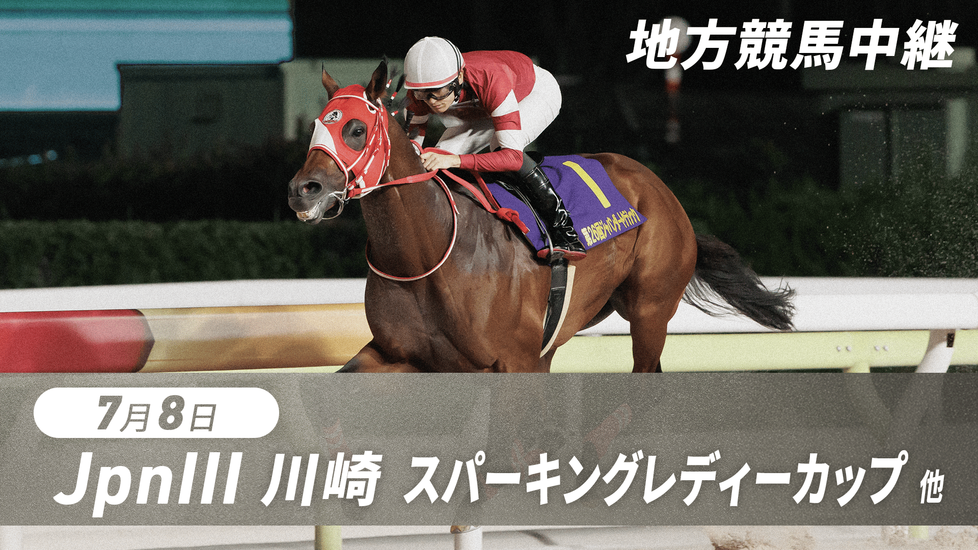 7.19 グリーンチャンネル地方競馬中継(いしがきマイラーズ、金沢城鼠