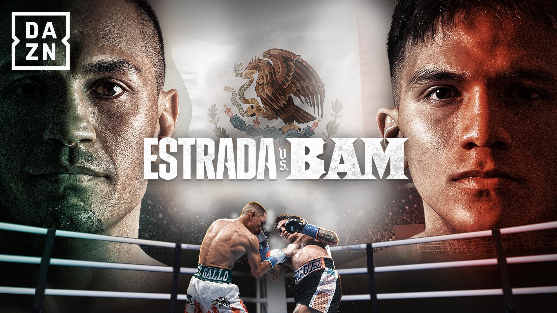 プロ格ヒーローズ デービスVSガルシア 井上VSロドリゲス プロ格