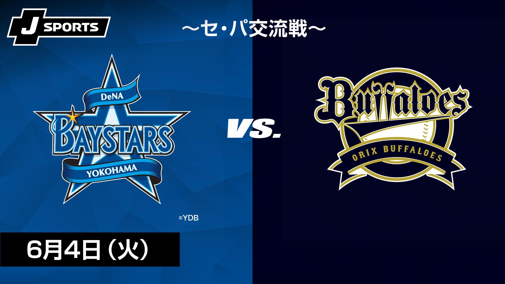 球春到来！ベイスターズ交流戦2018ピンズスペシャルセット 球春到来 ベイスターズ交流戦2018ピンズスペシャルセット 日本生命セ