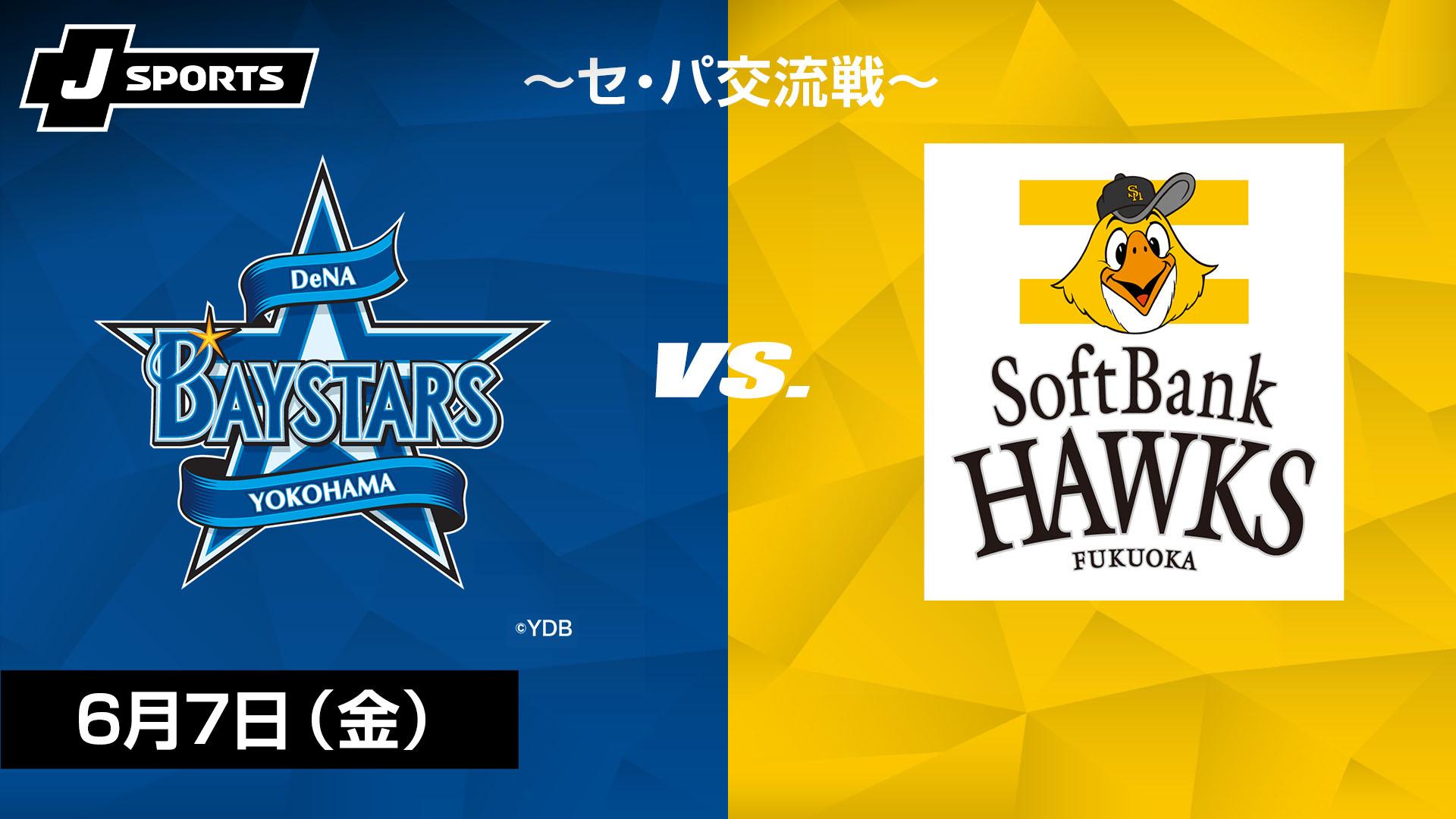 球春到来 ベイスターズ交流戦2018ピンズスペシャルセット 日本生命セ