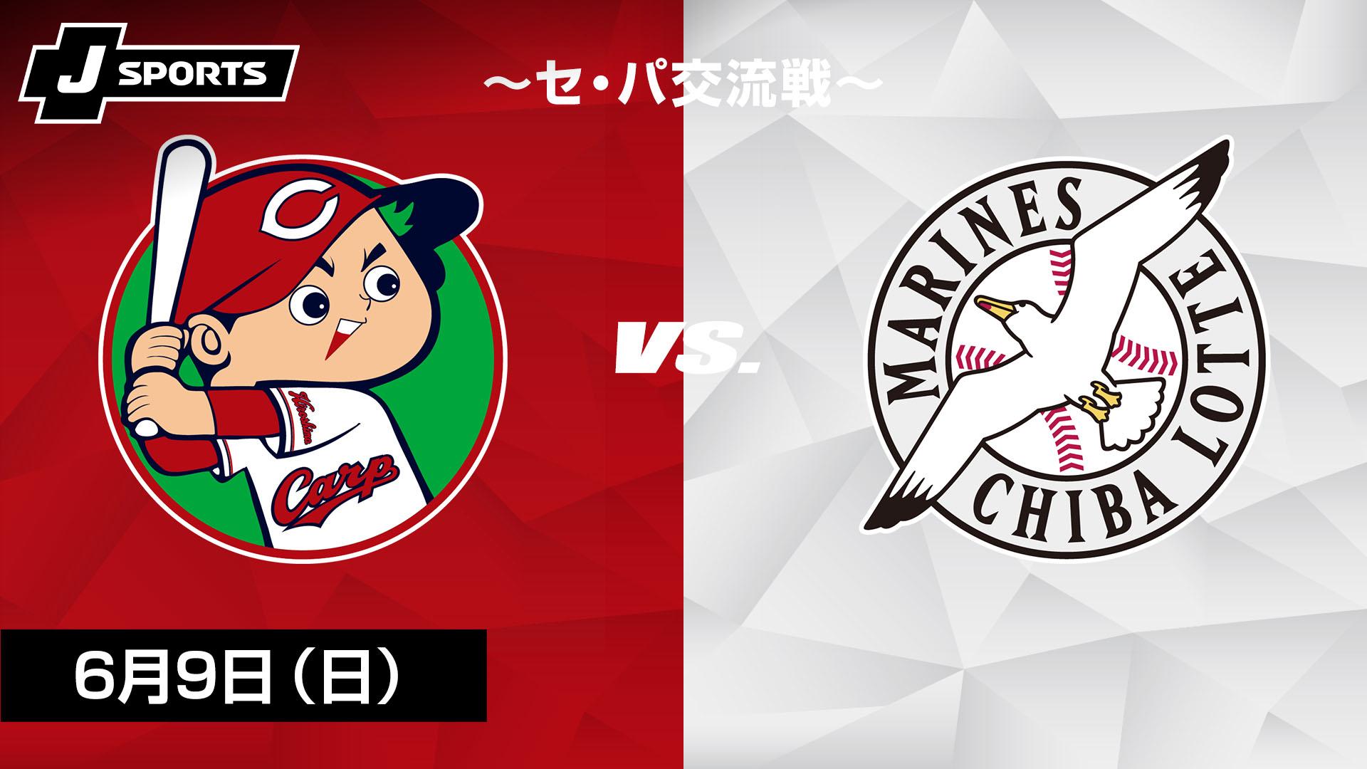 6/9(日) 広島東洋カープ対福岡ソフトバンクホークス 内野自由 ペア 雨天中止補償あり 広島東洋カープ対福岡ソフトバンクホークス 交流戦(ヒロシマトウヨウ