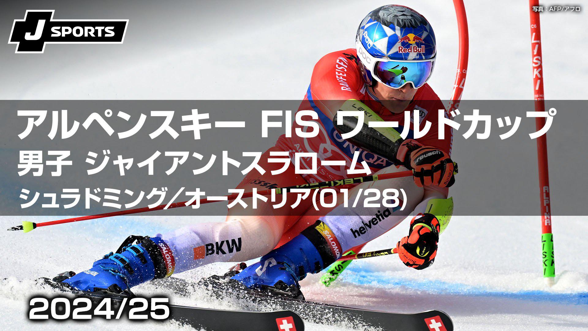 アルペンスキー スラローム SL ジュニア レガース LEKI レガース