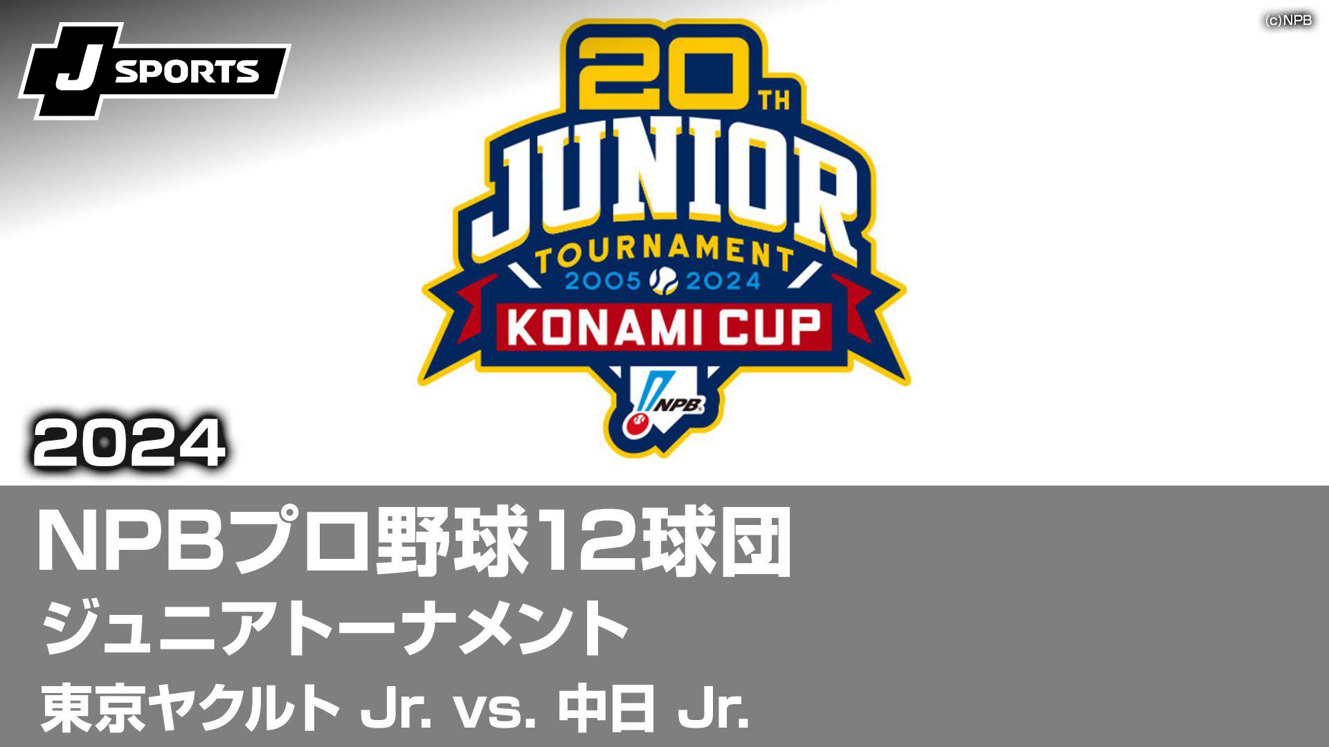 春夏新作モデル NPB さま専用 nishio makoto 12球団 スポーツ 9個 未開封 統一試合球 記念グッズ