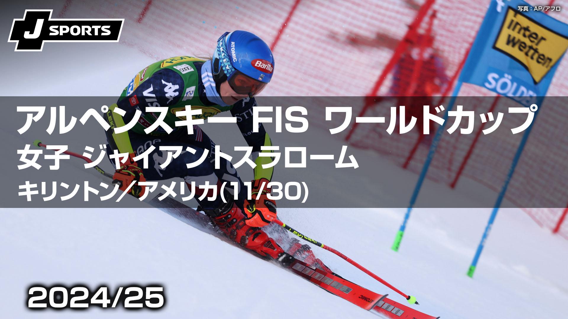 GS ジャイアントスラローム スキー板（ひ*）様 サロモン FIS公認 