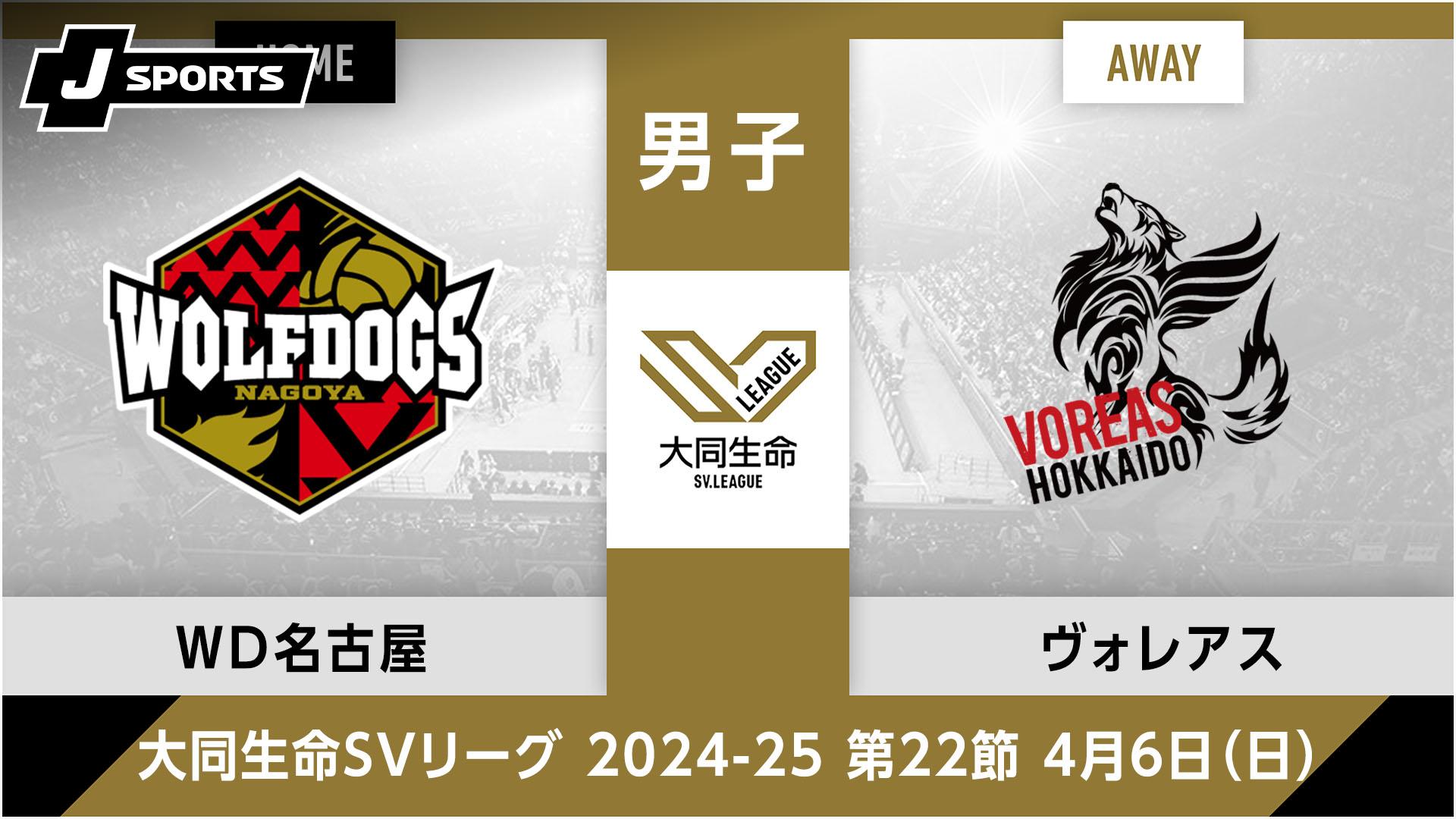 激レア❗️❗️SVリーグ ウルフドッグス名古屋 支給ポロシャツ 激レア