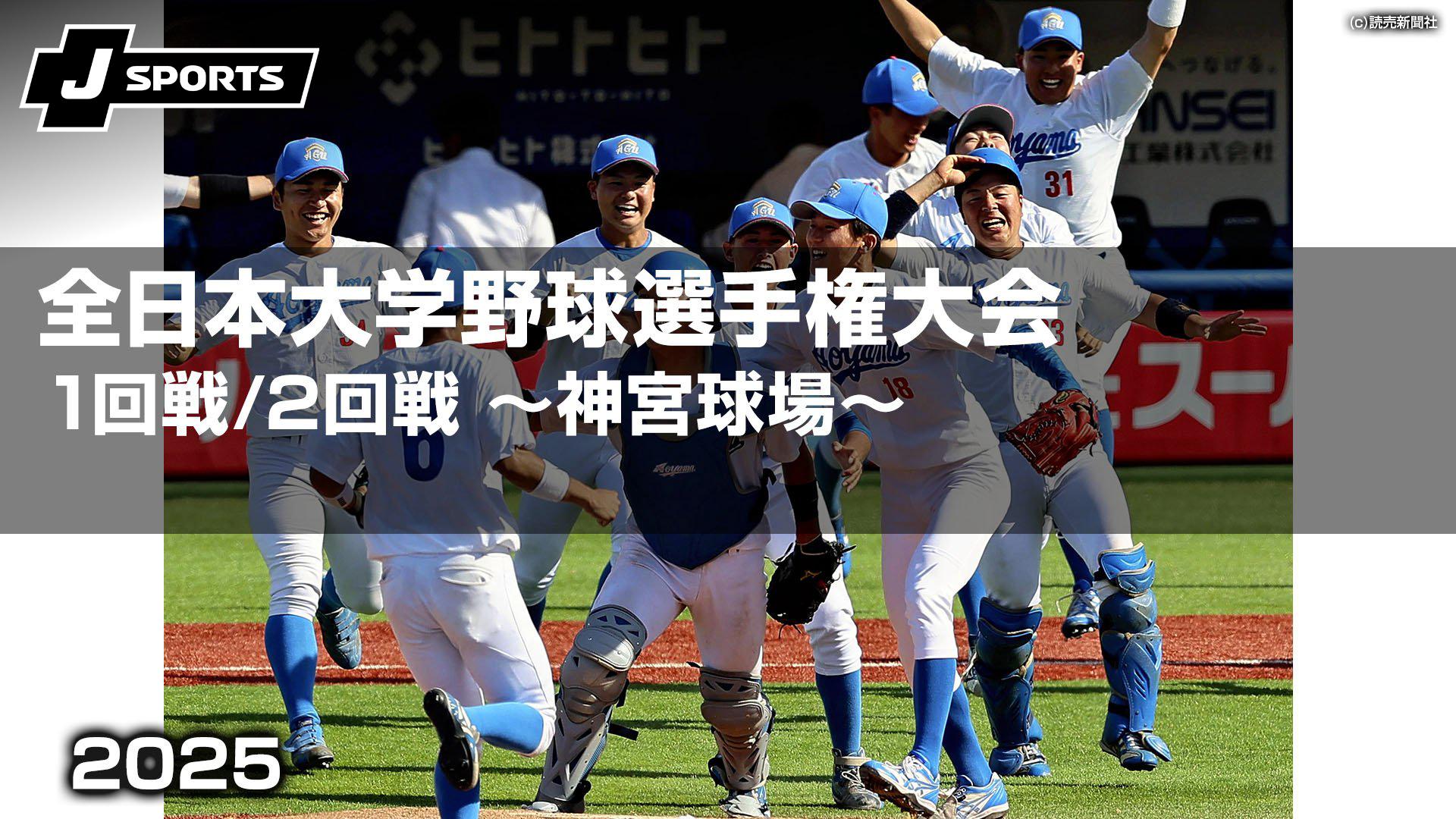 日本体育大学 日体大 野球部 Vジャン青白 日本製 Lサイズ メジャー