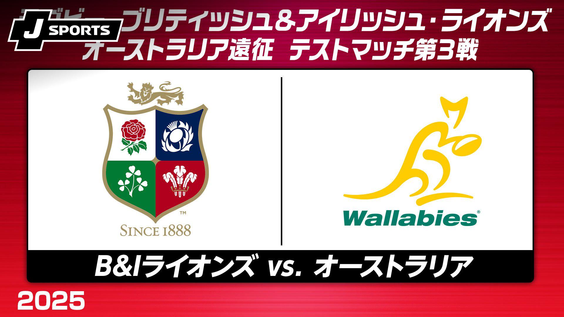 B&Iライオンズ2025オーストラリアツアー公式ビーニー B&Iライオンズ2025オーストラリアツアー公式ビーニー 公式