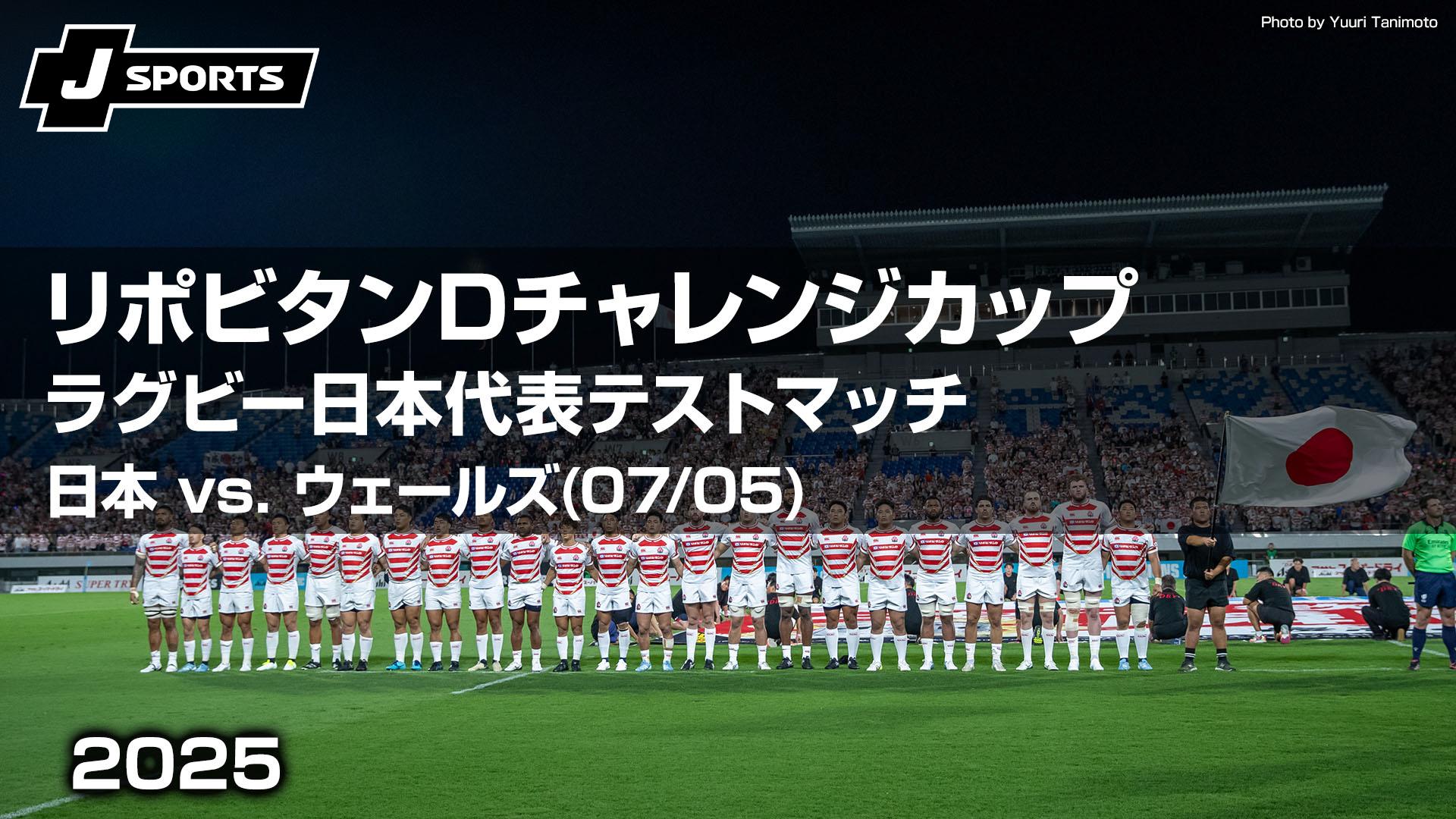 超激レア！ ラグビー 日本代表vsウェールズ代表マッチボール 超激レア