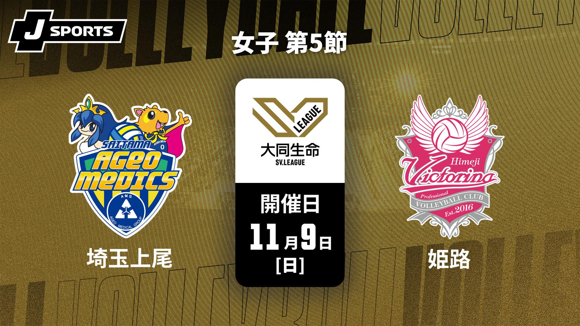 埼玉上尾メディックス vs. ヴィクトリーナ姫路(11/9) 女子 第5節【大同