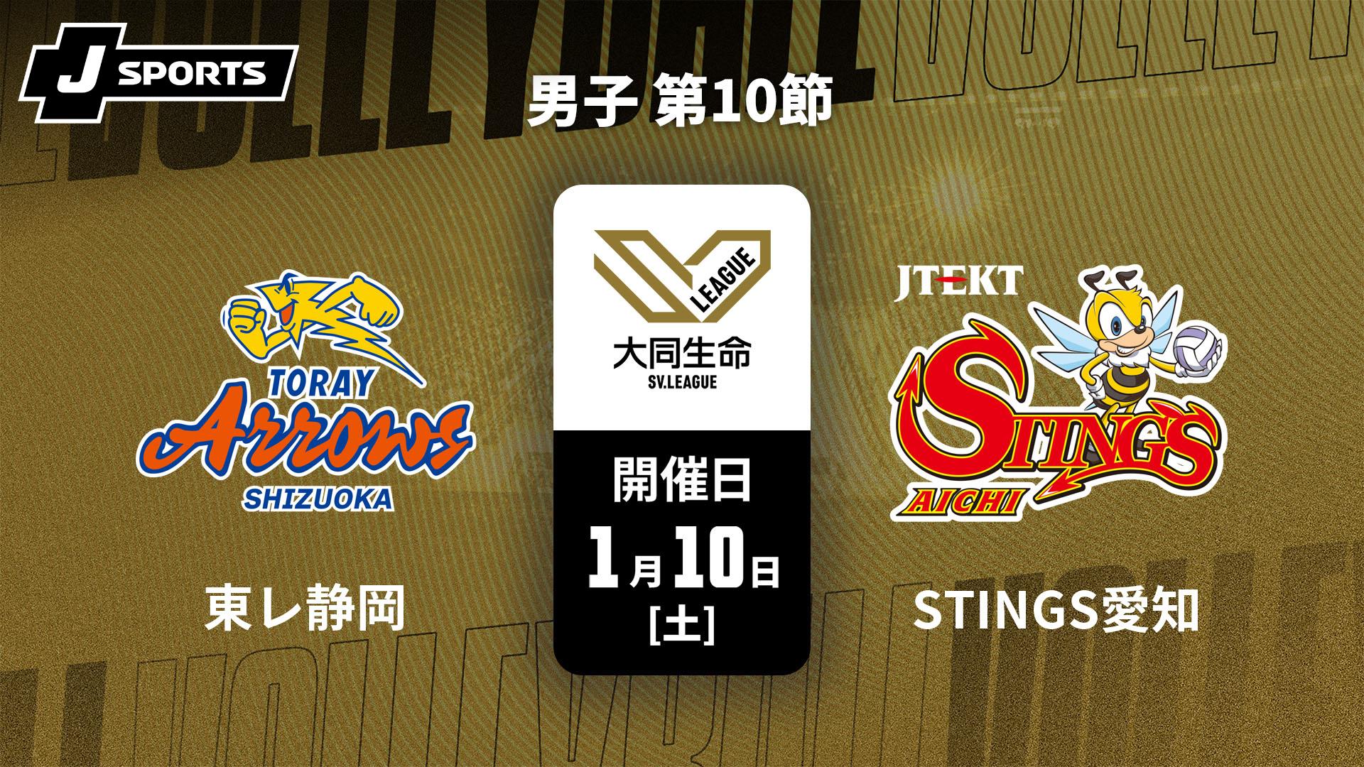 12月末まで出品】 SVリーグ 東レアローズ静岡 特典 バックパック 東レ