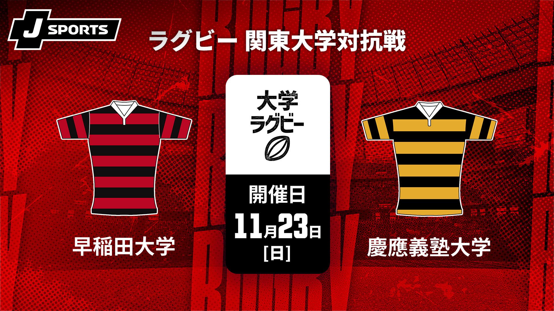 早稲田大学 vs. 慶應義塾大学【ラグビー 関東大学対抗戦2025