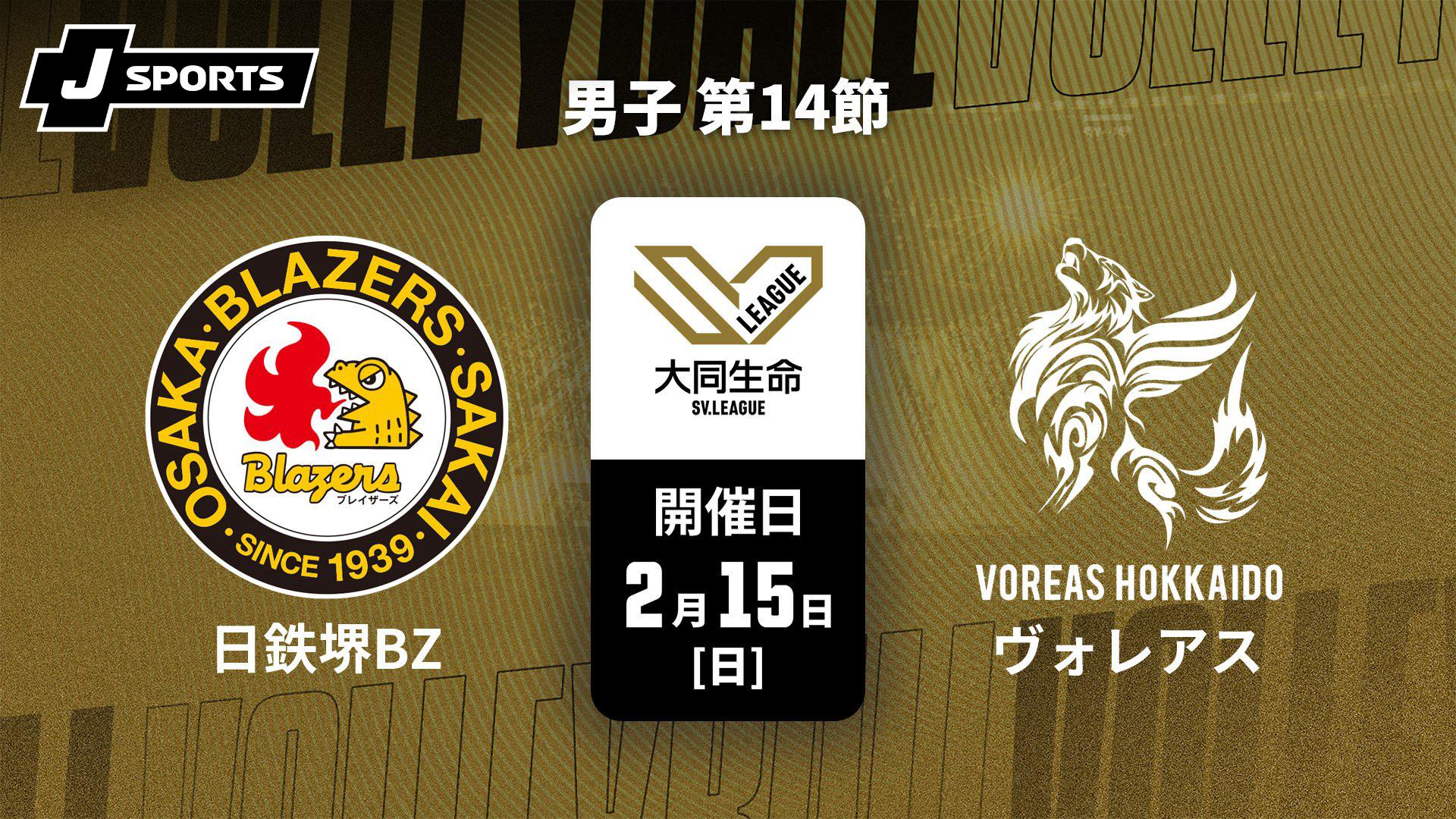 SVリーグ　堺ブレイザーズ　支給ノースリーブシャツ 日本製鉄堺ブレイザーズ チーム・選手 | 公益社団法人SVリーグ/一般