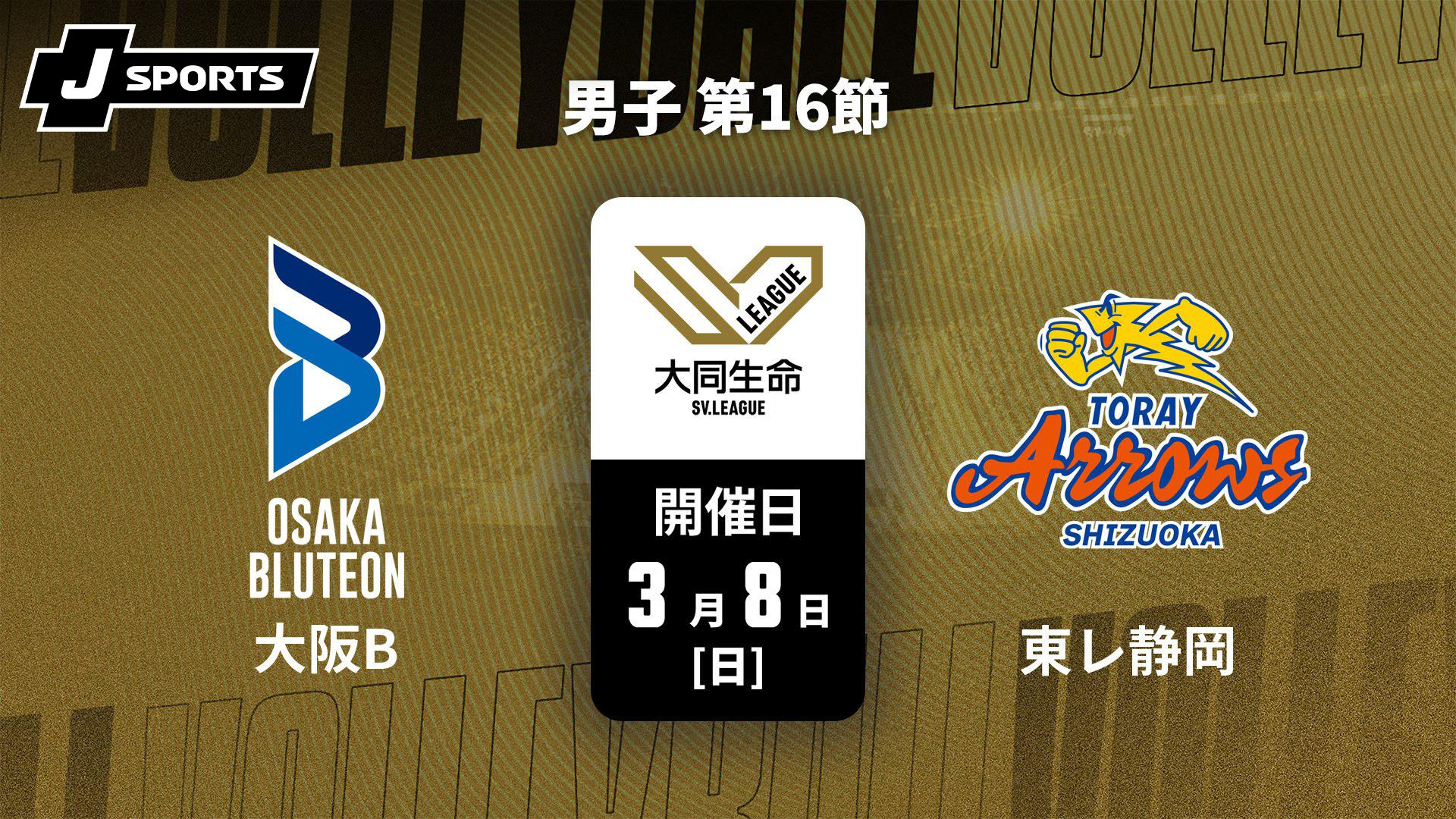 大阪ブルテオン vs. 東レアローズ静岡(3/8) 男子 第16節【大同生命SV