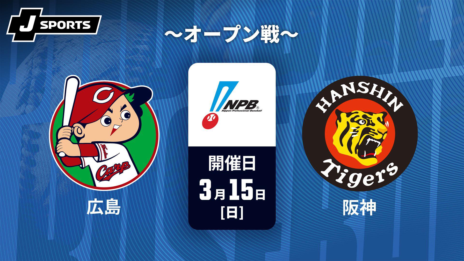 マツダスタジアム広島対中日 広島対中日 MAZDA Zoom-Zoomｽﾀｼﾞｱﾑ広島観戦2日間 - 中日ツアーズ中日