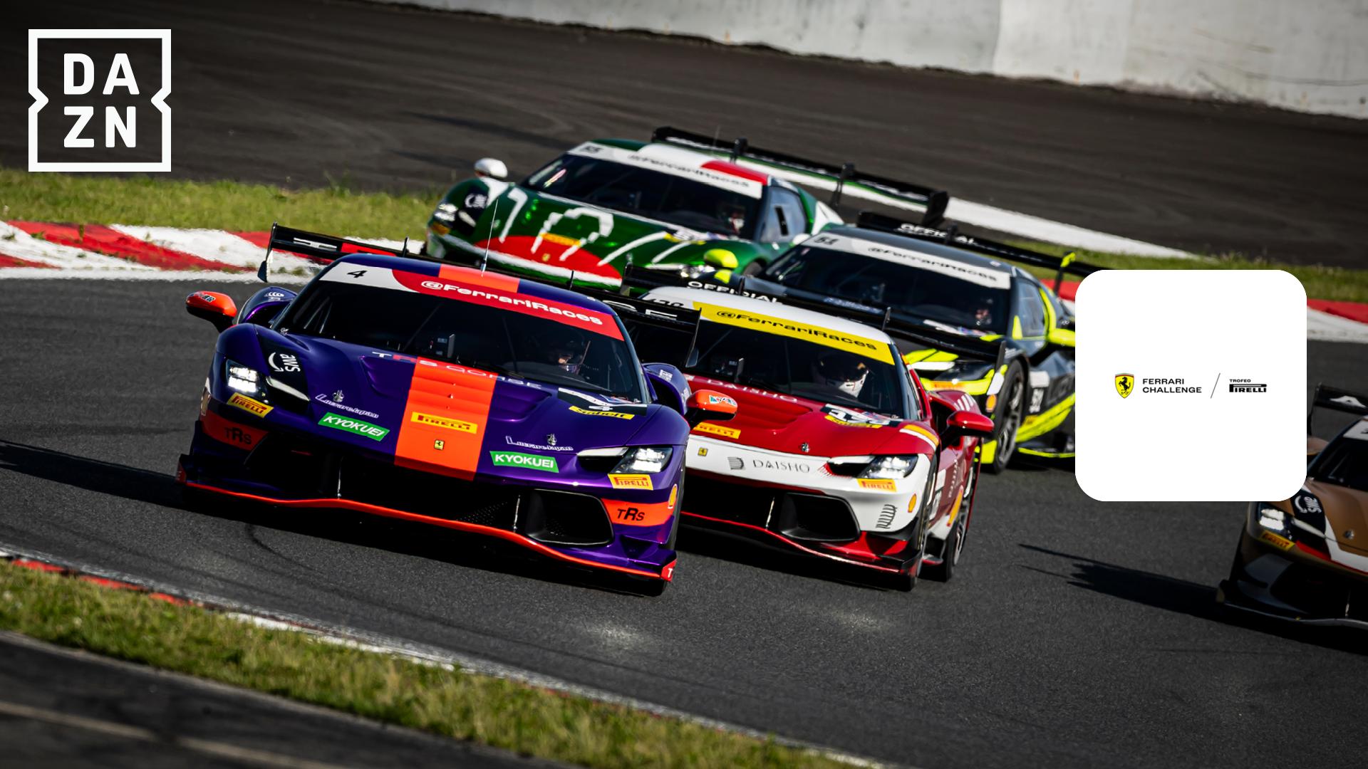 ウッディ　 フェラーリ　チャレンジ　リアAW リア2本 ウッディ フェラーリ チャレンジ リアAW リア2本 ウッディ様専用