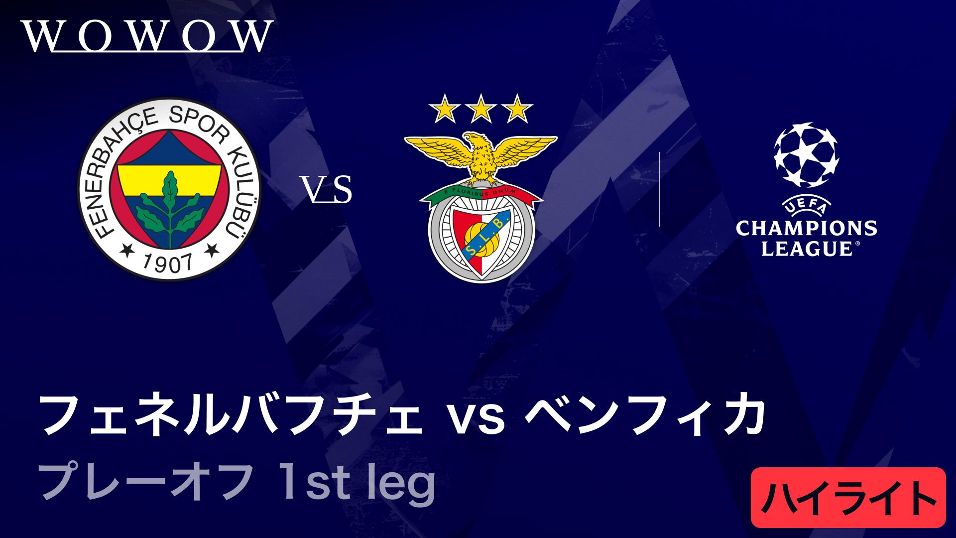 FCコペンハーゲンvsバーゼルFC チャンピオンズリーグ　応援マフラー FCコペンハーゲンvsバーゼルFC チャンピオンズリーグ 応援マフラー